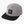 Load image into Gallery viewer, Men&#39;s RVCA Square Snapback
